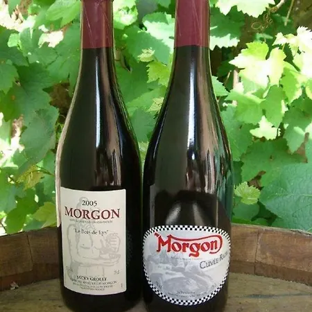 Gite Le Pot De Vin Lancie Exterior photo