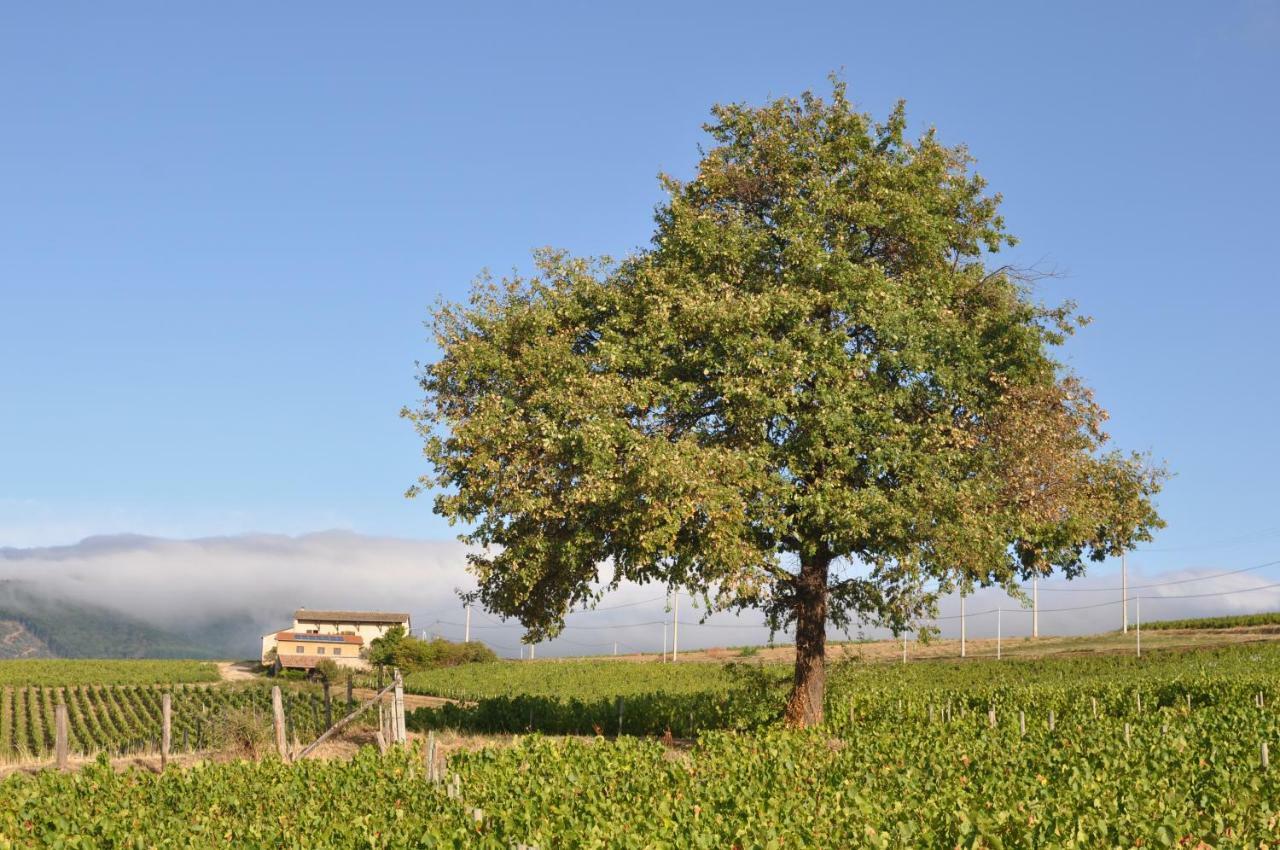 Le Pot De Vin *